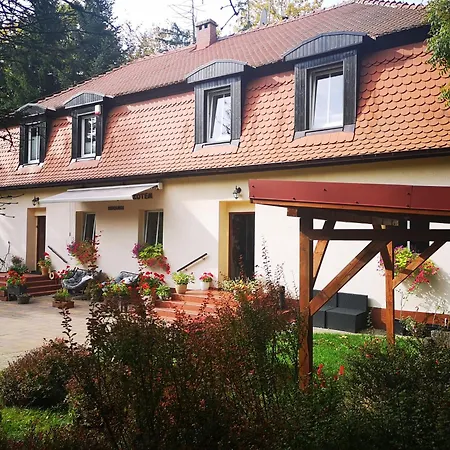 Pod Gadajacym Kotem Pansiyon *