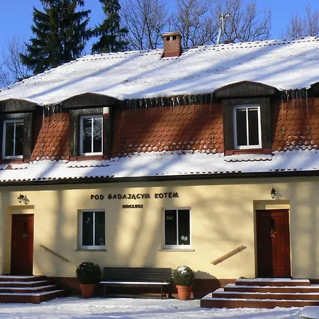 Pansiyon Pod Gadajacym Kotem Długopole-Zdrój