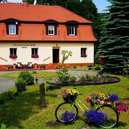 Pod Gadajacym Kotem Homestay