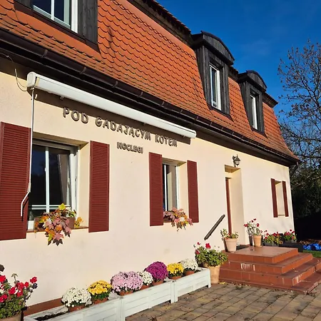 Pod Gadajacym Kotem