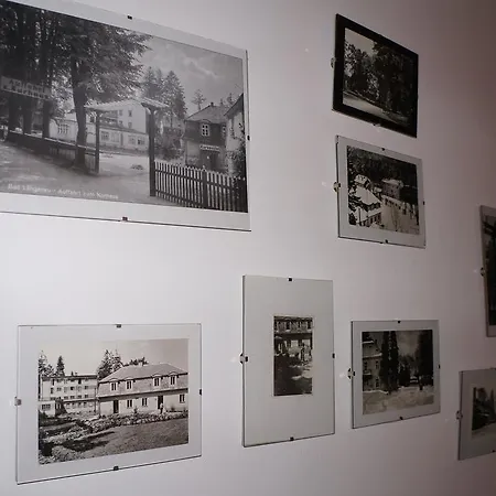 Pansiyon Pod Gadajacym Kotem *