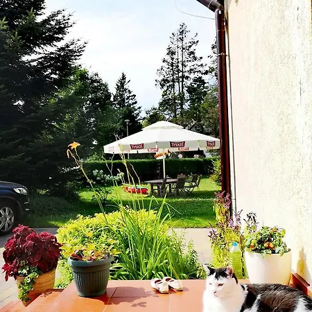 Pod Gadajacym Kotem * Dlugopole-Zdroj