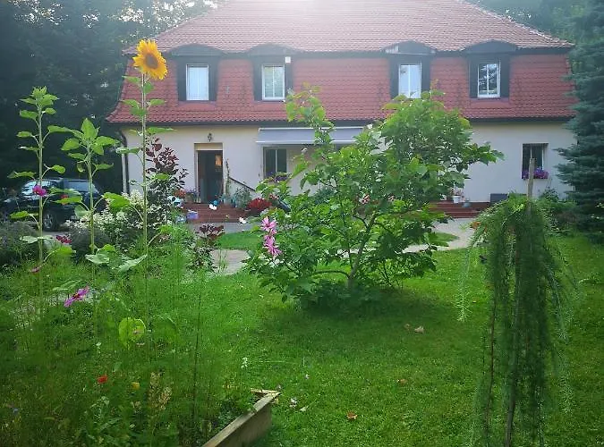 Pod Gadającym Kotem * Długopole-Zdrój